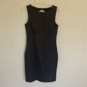 H&M Bodycon Fitted Professional Sleeveless Dress Keyhole Zip Back Fishscale sz 8